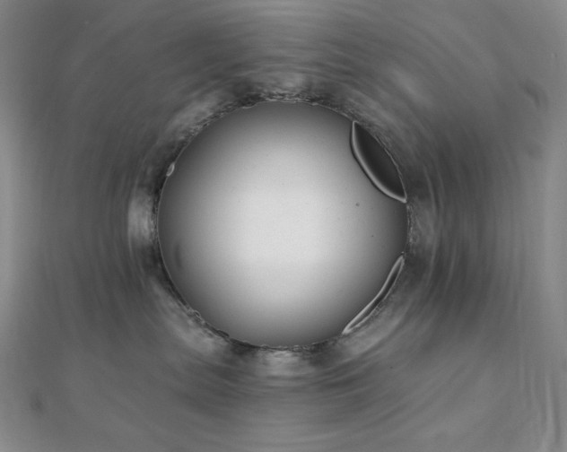 X0000112000287200908031235