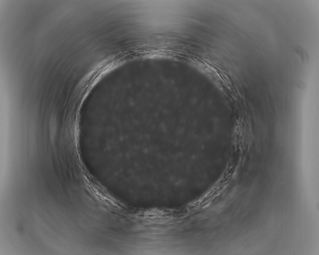 X0000112000290200908031234