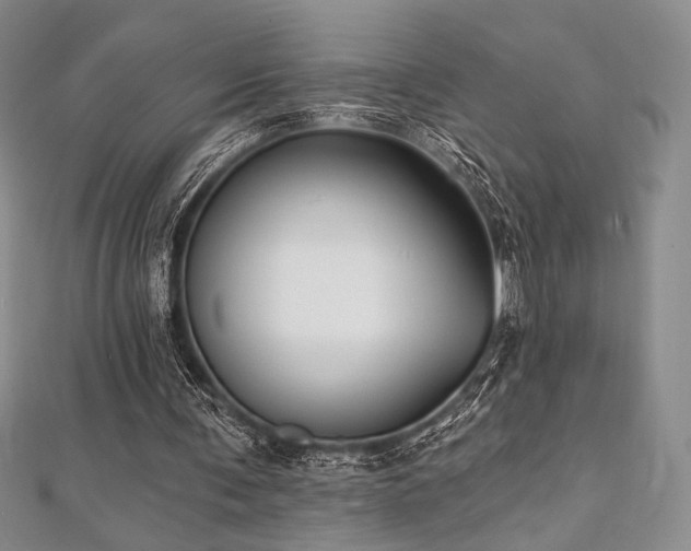 X0000112000291200908031234