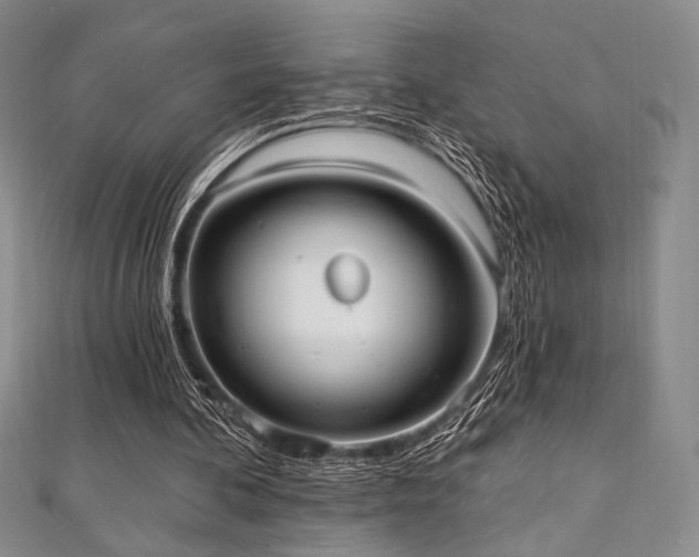 X0000112000292200908031234