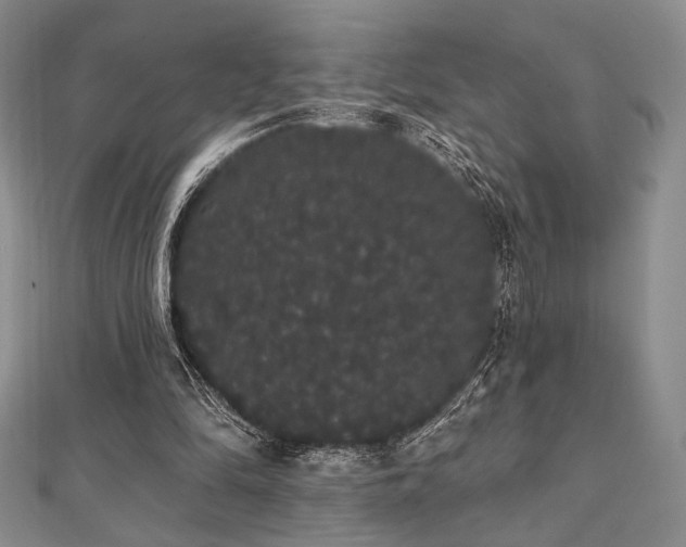 X0000112000294200908031234