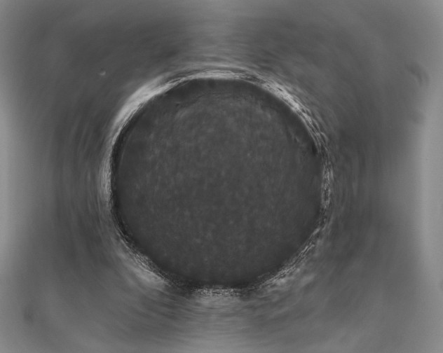 X0000112000296200908031234