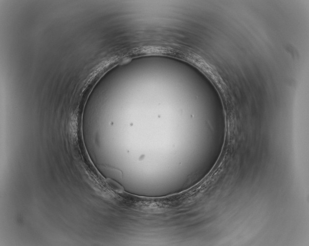 X0000112000297200908031234