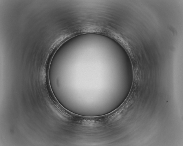 X0000112000298200908031234