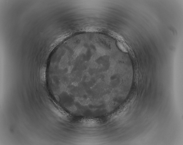 X0000112000299200908031234