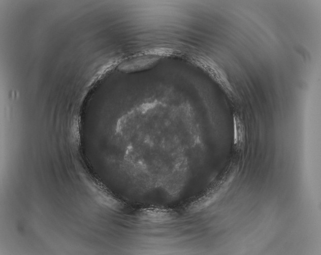 X0000112000300200908031234