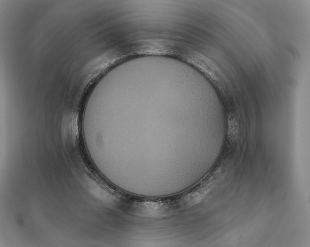 X0000112000302200908031234