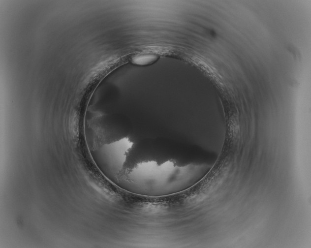 X0000112000303200908031234