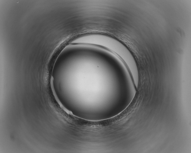 X0000112000304200908031234