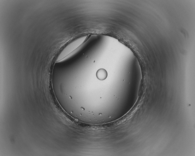 X0000112000305200908031234