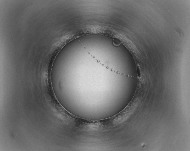 X0000112000306200908031234