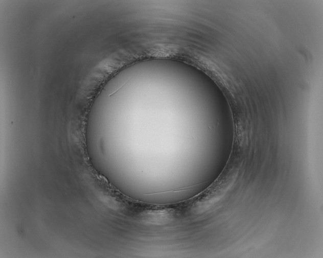 X0000112000307200908031234