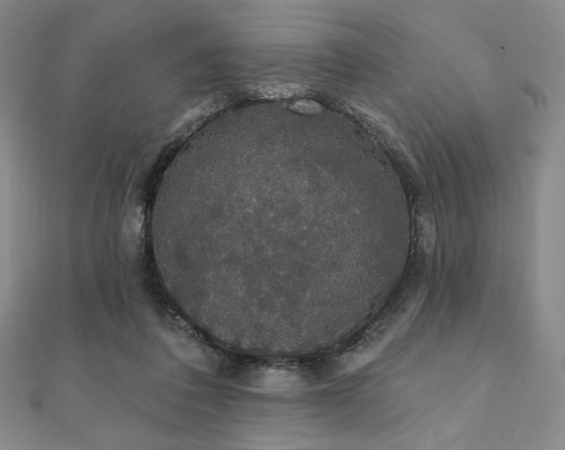 X0000112000308200908031234