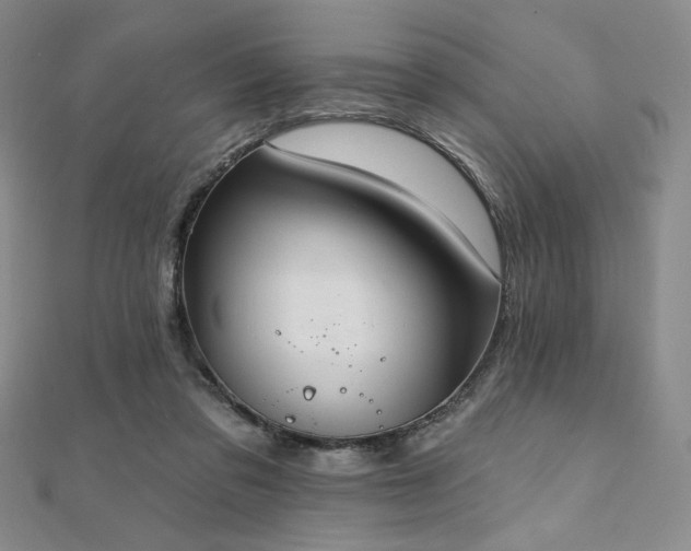 X0000112000309200908031234