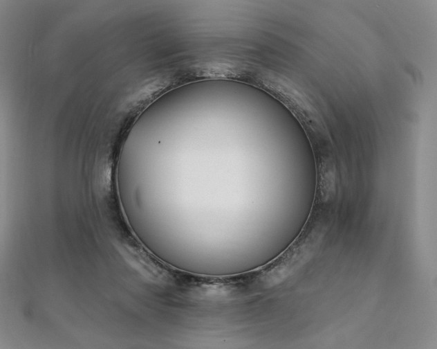 X0000112000310200908031234