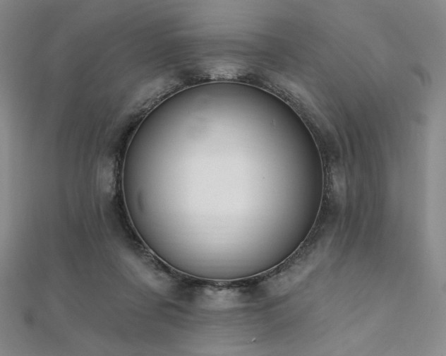 X0000112000311200908031234