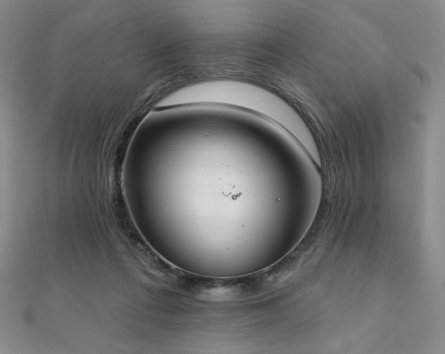 X0000112000312200908031234