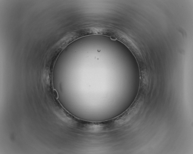 X0000112000313200908031234