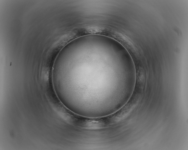 X0000112000315200908031234