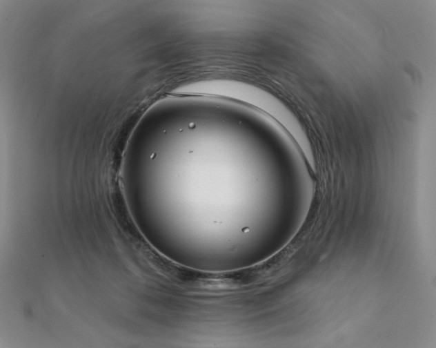 X0000112000316200908031234