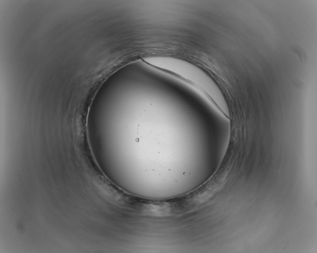 X0000112000317200908031234