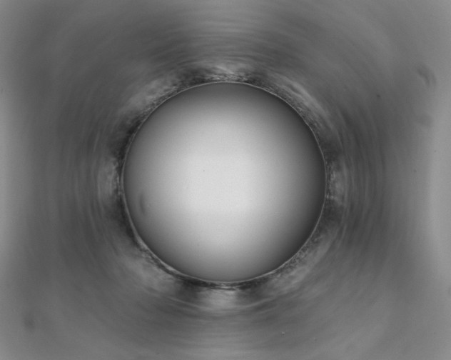 X0000112000318200908031234