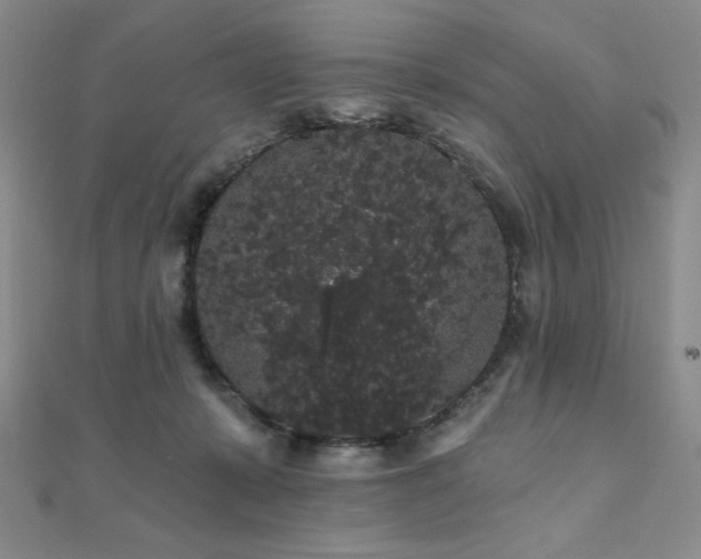 X0000112000319200908031234