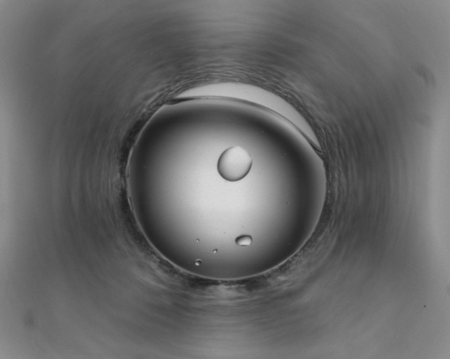 X0000112000320200908031234