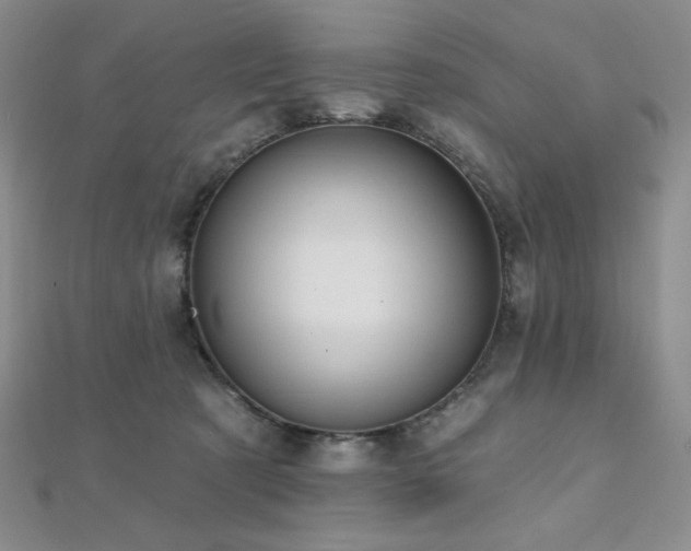 X0000112000321200908031234