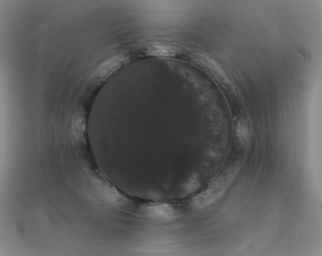 X0000112000322200908031234