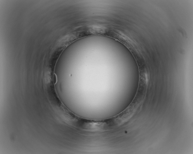 X0000112000323200908031234