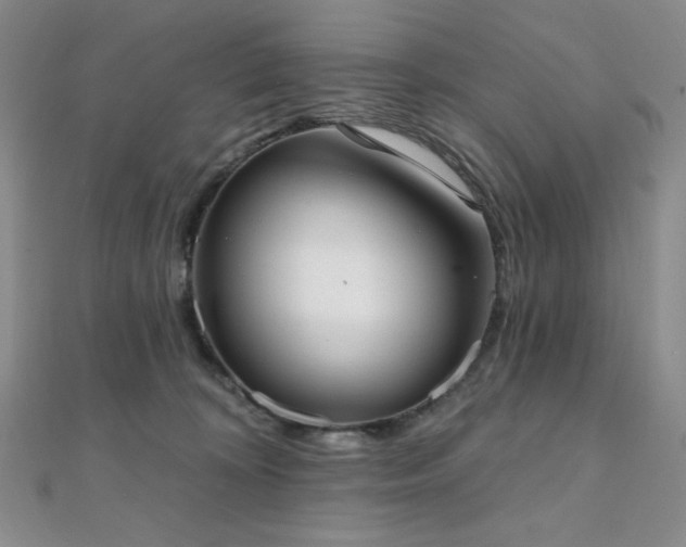 X0000112000324200908031234