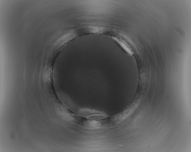 X0000112000325200908031234