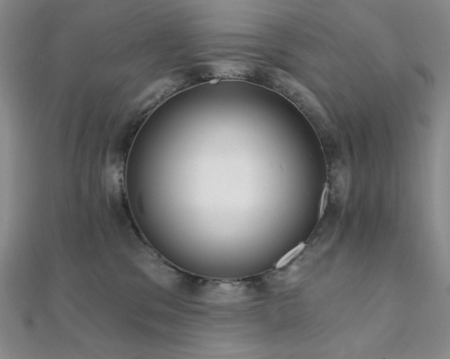 X0000112000329200908031234