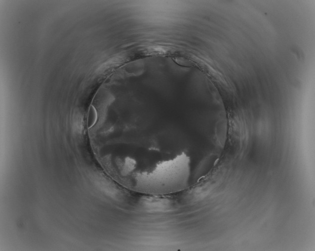 X0000112000331200908031234