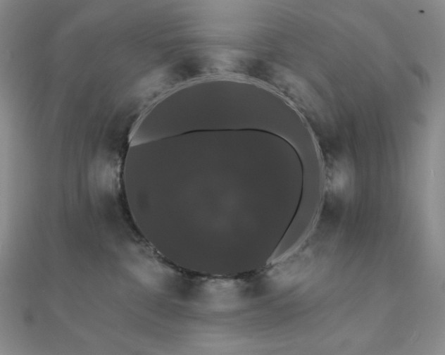 X0000112000332200908031234