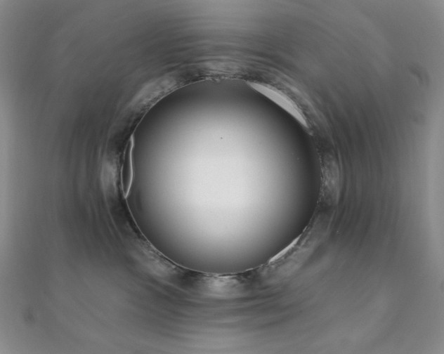 X0000112000333200908031234