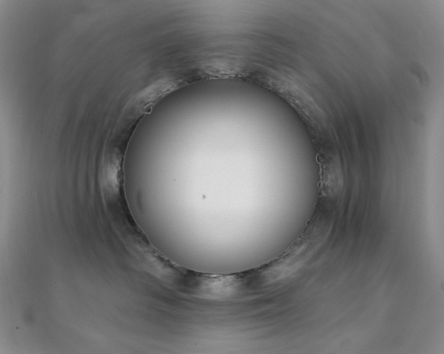 X0000112000334200908031234