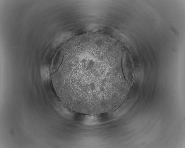 X0000112000335200908031234