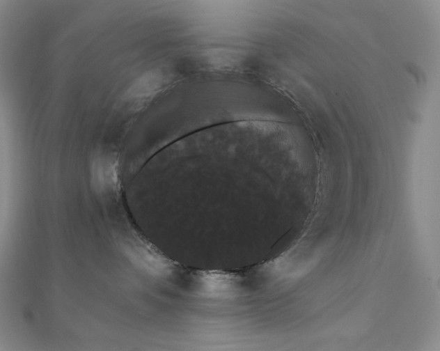 X0000112000336200908031234