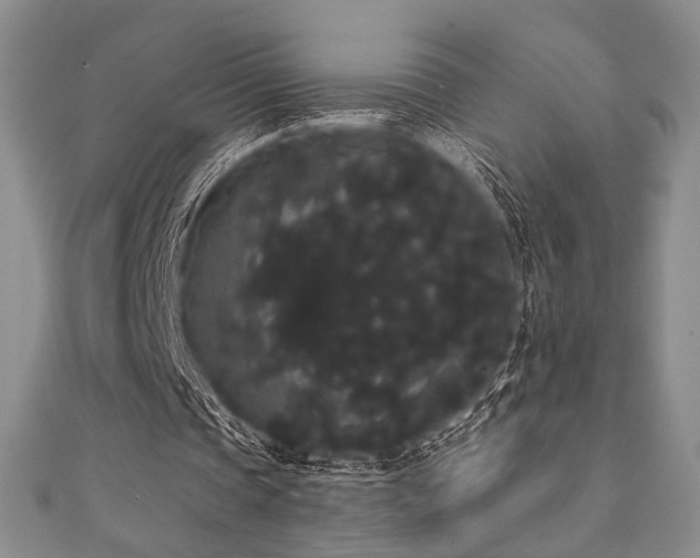 X0000112000337200908031233