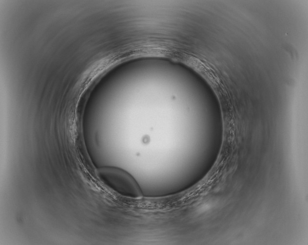 X0000112000338200908031233