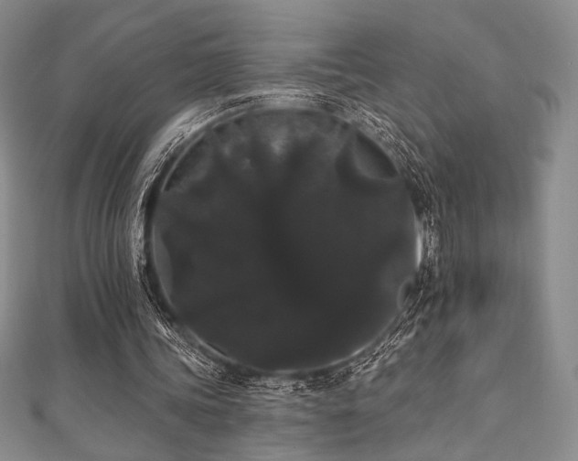 X0000112000339200908031233