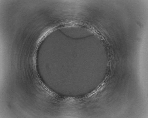 X0000112000341200908031233