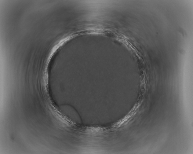 X0000112000342200908031233