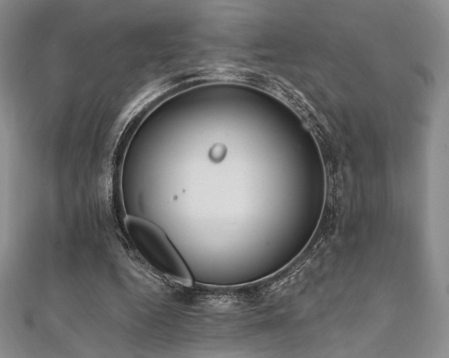 X0000112000344200908031233