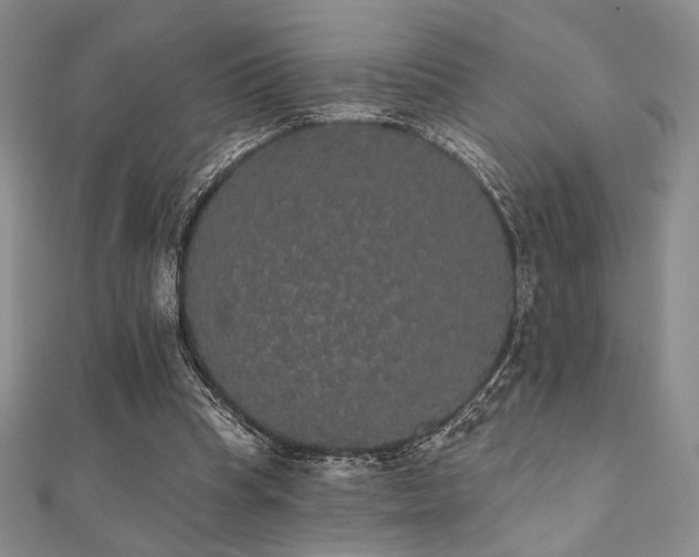 X0000112000345200908031233