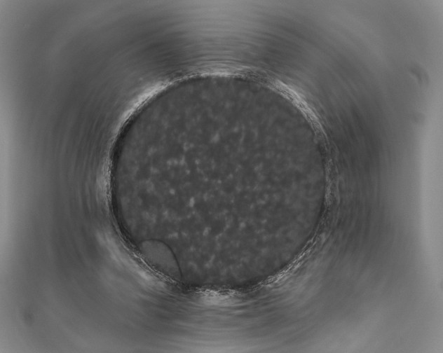 X0000112000346200908031233