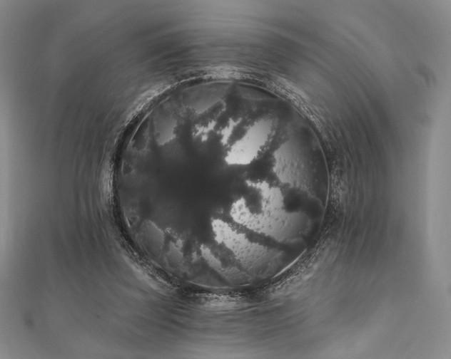 X0000112000347200908031233