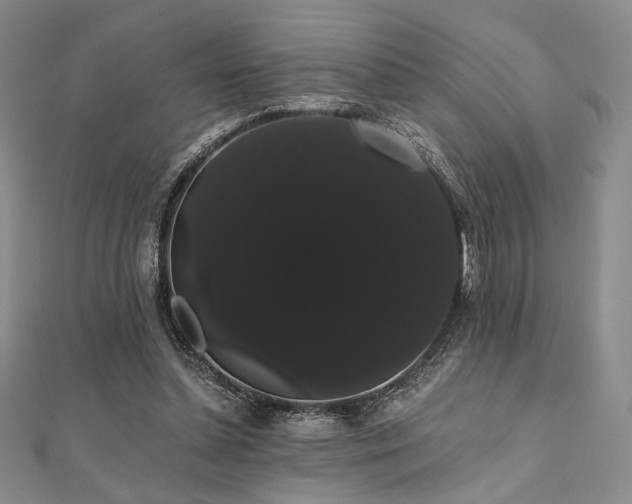 X0000112000348200908031233